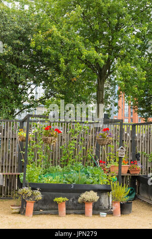 Greyfriars Garten einen Gemeinschaftsgarten ins Stocken geraten Räume Merchant City Gegend von Glasgow, Scotland, UK Stockfoto