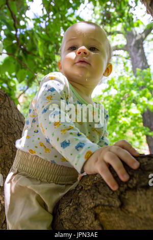 Kleiner Kerl in einem Baum Stockfoto
