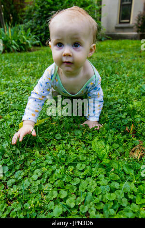 Baby krabbeln im Gras Stockfoto