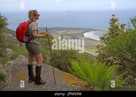 Wanderer auf Strzelecki Gipfeln, mit Blick auf Hose Punkt Stockfoto