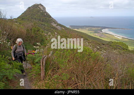 Wanderer auf Strzelecki Gipfeln, mit Blick auf Hose Punkt Stockfoto