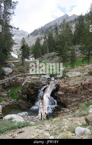 Hohe Berg fällt, White Chief Canyon, Sequoia National Park, Kalifornien Stockfoto