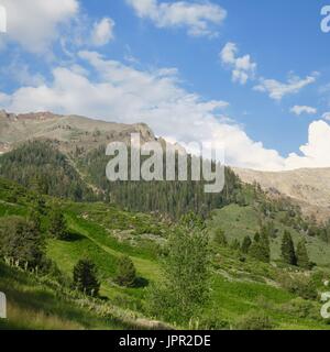 Gipfel über Mineral King Valley, Sequoia National Park, Kalifornien, USA Stockfoto