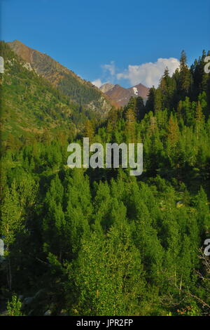 Gipfel über Mineral King Valley, Sequoia National Park, Kalifornien, USA Stockfoto