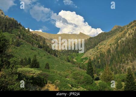 Gipfel über Mineral King Valley, Sequoia National Park, Kalifornien, USA Stockfoto