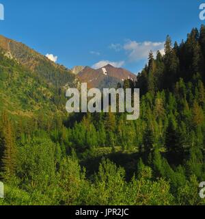 Gipfel über Mineral King Valley, Sequoia National Park, Kalifornien, USA Stockfoto