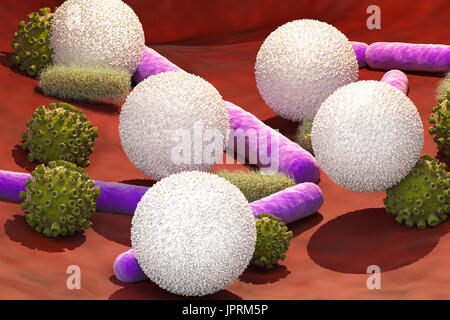 3D Rendering Viren und Bakterien Zellen mit weißen Blutkörperchen in Vene Stockfoto