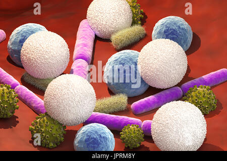 3D Rendering Viren und Bakterien Zellen mit weißen Blutkörperchen in Vene Stockfoto