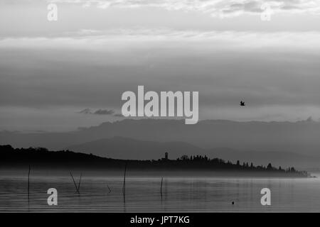 Eine Insel auf einem See, mit Nebel, Silhouetten von Bäumen und Gebäuden, und ein Vogel fliegt über Stockfoto