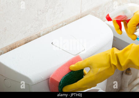 Frau mit Gummihandschuh reinigt eine WC-Schüssel mit Mitteln für die Reinigung in Nahaufnahme Stockfoto