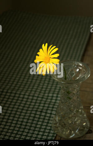 Ringelblume in einer Glasvase auf einem Holztisch. Karte. Stockfoto
