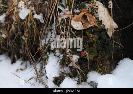 Winterlandschaft in Branzi, Italien, Europäische Stockfoto