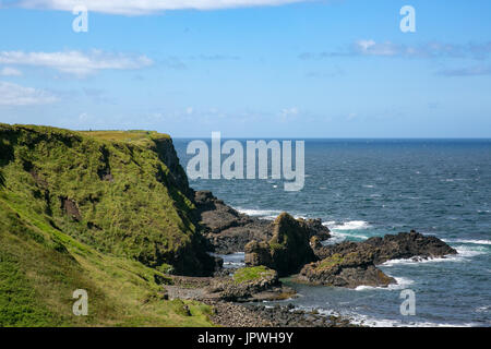 Den berühmten Finn McCool Kamel in der malerischen Portnaboe's Bay Giant's Causeway Antrim Nordirland entfernt Stockfoto