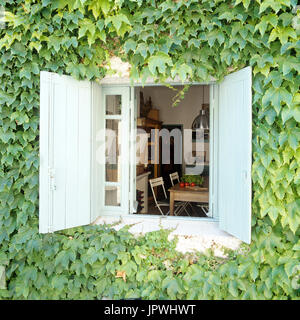 Fenster, umgeben von Reben Stockfoto