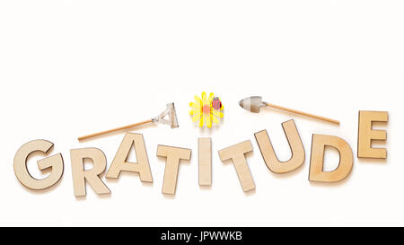 Draufsicht der Großbuchstaben gemacht aus Holz, die Rechtschreibprüfung der Wort Dankbarkeit isoliert auf weiß mit gelben Gänseblümchen, Marienkäfer, Miniatur-Schaufel und Harke, cultivat Stockfoto