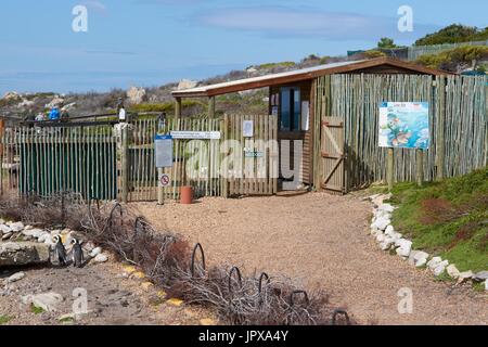 Eintritt in die afrikanischen Pinguinkolonie (Spheniscus Demersus) in Bettys Bay in der Western Cape Südafrika. Stockfoto
