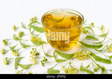 Tee aus Linden vor Kälte in einer transparenten Schale mit Lindenblüten herum. Weißen Hintergrund. Seitenansicht Stockfoto