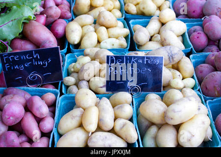 Frische reife Bio-Gemüse an einer örtlichen Bauernmarkt in Penticton, Britisch-Kolumbien, Kanada. Stockfoto