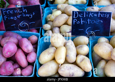 Frische reife Bio-Gemüse an einer örtlichen Bauernmarkt in Penticton, Britisch-Kolumbien, Kanada. Stockfoto