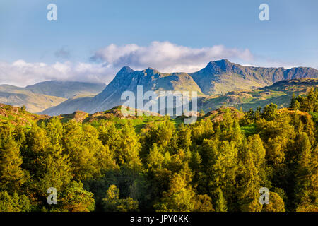 Fernsicht auf den Langdale Pikes und damit verbundenen Lakeland Fells aus den Hügeln oberhalb Hawkshead in der Nähe von Tarn Hows im englischen Lake District Stockfoto