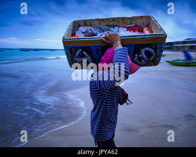 Kuta, Bali, Indonesien. 3. August 2017. Ein Fisch-Markt-Arbeiter trägt eine Eis Brust von Fischen aus einem Kanu auf dem Markt am Jimbrana Strand in Kuta. Der Strand liegt in der Nähe des Flughafens und eine kurze Autofahrt von den anderen Stränden im Südosten Bali. Jimbrana war ursprünglich ein Fischerdorf mit einem geschäftigen Markt. Vor etwa 25 Jahren Entwickler begann mit dem Bau von Restaurants und Hotels entlang der Strand und Land Preise steigen. Der neue Schwerpunkt auf Tourismus verändert sich die Natur der Gegend, aber die Fischer sind noch damit beschäftigt, in den sehr frühen Morgenstunden. Bildnachweis: Jack Kurtz/ZUMA Draht/Alamy Live-Nachrichten Stockfoto