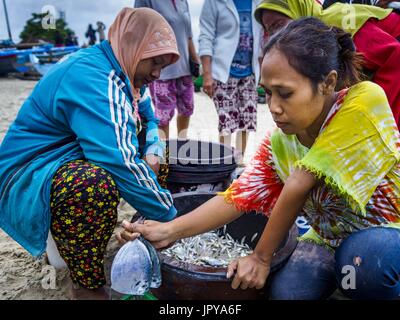 Kuta, Bali, Indonesien. 3. August 2017. Frauen sortieren Fisch über Nacht von Dorfbewohnern, die entlang Jimbrana Strand in Kuta Leben. Der Strand liegt in der Nähe des Flughafens und eine kurze Autofahrt von den anderen Stränden im Südosten Bali. Jimbrana war ursprünglich ein Fischerdorf mit einem geschäftigen Markt. Vor etwa 25 Jahren Entwickler begann mit dem Bau von Restaurants und Hotels entlang der Strand und Land Preise steigen. Der neue Schwerpunkt auf Tourismus verändert sich die Natur der Gegend, aber die Fischer sind noch damit beschäftigt, in den sehr frühen Morgenstunden. Bildnachweis: Jack Kurtz/ZUMA Draht/Alamy Live-Nachrichten Stockfoto