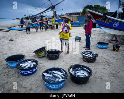 Kuta, Bali, Indonesien. 3. August 2017. Eine Frau verkauft Fisch über Nacht von Dorfbewohnern, die entlang Jimbrana Strand in Kuta Leben. Der Strand liegt in der Nähe des Flughafens und eine kurze Autofahrt von den anderen Stränden im Südosten Bali. Jimbrana war ursprünglich ein Fischerdorf mit einem geschäftigen Markt. Vor etwa 25 Jahren Entwickler begann mit dem Bau von Restaurants und Hotels entlang der Strand und Land Preise steigen. Der neue Schwerpunkt auf Tourismus verändert sich die Natur der Gegend, aber die Fischer sind noch damit beschäftigt, in den sehr frühen Morgenstunden. Bildnachweis: Jack Kurtz/ZUMA Draht/Alamy Live-Nachrichten Stockfoto