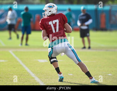 Davie, FL, USA. 3. August 2017. FL-sp-Delphine-20170803-6. Miami Dolphins Quarterback Ryan Tannehill zurück zu Setup für einen Pass rennt während des Trainings Camp am Donnerstag Morgen bevor er erlitt eine Verletzung früh in Donnerstag gepolstert Praxis in Davie.During das Team zunächst auf 11 11 Sitzung Tannert, Miamis Starter für die letzten fünf Spielzeiten, kletterte auf der rechten Seite und fiel am Ende seiner ersten nach unten laufen. Er fiel in eine Gruppe von Spielern und offenbar chirurgisch reparierte linke Knie geschnallt. Stockfoto