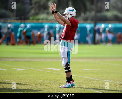 Davie, FL, USA. 3. August 2017. FL-SP-Dolphins-20170803-4-ng Miami Dolphins quarterback Ryan Tannehill Signale ok zu einem Mitspieler während Delphine Trainingslager an Ärzte Krankenhaus an der Nova Southeastern University in Davie Donnerstagmorgen. Tannert erlitt eine Verletzung früh in die gepolsterten Praxis am Donnerstag. Während die TeamÃ ¢ Â'¬â "¢ s zunächst auf 11 11 Sitzung Tannert, Miamis Starter für die letzten fünf Saisons, kletterte auf der rechten Seite und fiel am Ende seiner erst nach unten laufen. Er fiel in eine Gruppe von Spielern und offenbar chirurgisch reparierte linke Knie geschnallt. Stockfoto