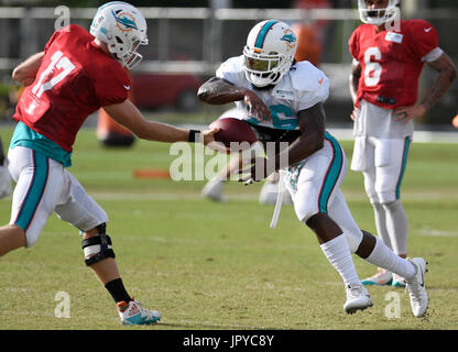 Davie, FL, USA. 3. August 2017. FL-sp-Delphine-20170803-11 Miami Dolphins Quarterback #17 Ryan Tannehill übergibt den Ball an den Runningback #26 Damien Williams bei den Delphinen Trainingslager an Ärzte Krankenhaus an der Nova Southeastern University in Davie Donnerstagmorgen. Tannert erlitt eine Verletzung früh in die gepolsterten Praxis am Donnerstag. Während das Team zunächst auf 11 11 Sitzung Tannert Miamis Starter für die letzten fünf Saisons, kletterte auf der rechten Seite und fiel am Ende seiner ersten nach unten laufen. Stockfoto