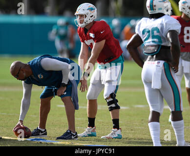 Davie, FL, USA. 3. August 2017. FL-SP-Dolphins-20170803-5-ng. Miami Dolphins quarterback Ryan Tannehill während des Trainingslagers, bevor er eine Verletzung früh in die gepolsterten Praxis am Donnerstag in Davie erlitt. Während das Team zunächst auf 11 11 Sitzung Tannert Miamis Starter für die letzten fünf Saisons, kletterte auf der rechten Seite und fiel am Ende seiner ersten nach unten laufen. Er fiel in eine Gruppe von Spielern und offenbar chirurgisch reparierte linke Knie geschnallt. Stockfoto