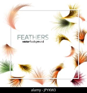Bunte Feder Hintergrund mit weißem Rahmen.  Bunte exotische Federn. Platz für Text. EPS10 Vektor-illustration Stock Vektor