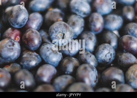 Haufen von Heidelbeeren - Blaue Beeren Stockfoto