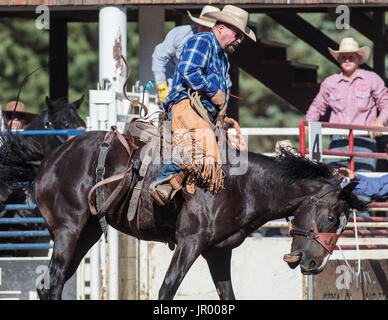 Rodeo-Aktion bei Scott Tal Vergnügen Park Rodeo in Etna, Kalifornien. Stockfoto