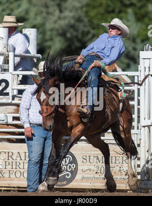 Rodeo-Aktion bei Scott Tal Vergnügen Park Rodeo in Etna, Kalifornien. Stockfoto