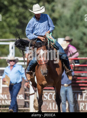 Rodeo-Aktion bei Scott Tal Vergnügen Park Rodeo in Etna, Kalifornien. Stockfoto