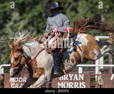 Rodeo-Aktion bei Scott Tal Vergnügen Park Rodeo in Etna, Kalifornien. Stockfoto