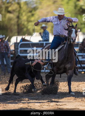 Rodeo-Aktion bei Scott Tal Vergnügen Park Rodeo in Etna, Kalifornien. Stockfoto