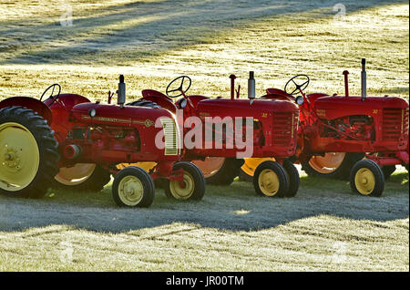 Drei rote Landwirtschaftstraktoren in einer Linie auf einem Bauernhof-Feld mit einer morgendlichen Frost in New Brunswick, Kanada Stockfoto