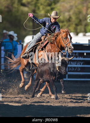 Rodeo-Aktion bei Scott Tal Vergnügen Park Rodeo in Etna, Kalifornien. Stockfoto