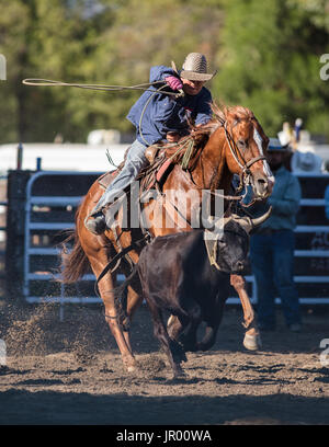 Rodeo-Aktion bei Scott Tal Vergnügen Park Rodeo in Etna, Kalifornien. Stockfoto