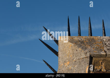 Detail-Nahaufnahme der Tudor Ära Ziegelwand mit einer Reihe von scharfe schwarze Stacheln am oberen Rand Stockfoto