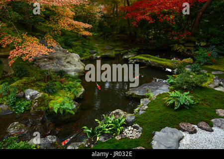 Friedliche japanischer Fischteich im Herbst mit schönen Ahorne ihr Fall Farben angezeigt. Stockfoto