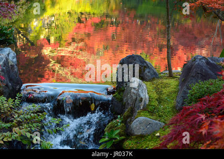 Kleiner Wasserfall über die Felsen am Rande eines Teiches mit Herbst Reflexionen im Wasser Stockfoto