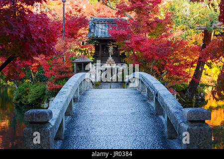 Brücke zu einem Teich Insel mit einem kleinen japanischen Gebet Schrein und roten Herbst Ahorn Stockfoto