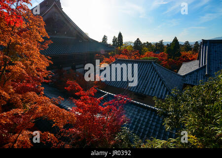 Tempel Dächer durch Herbst Ahorn rot leuchten in der Herbstsonne umgeben Stockfoto