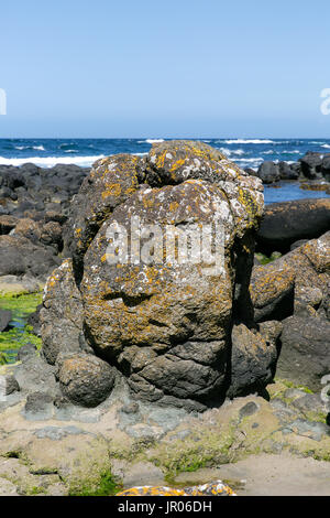 Massive Basalt auf die Kosten der Giant's Causeway in Bushmills Antrim Nordirland Stockfoto