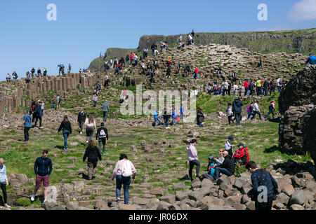 Touristen klettern Basaltsäulen am Giant's Causeway Causeway Coast mit Port Reostan Aussichtspunkt im Hintergrund Antrim Nordirland Stockfoto