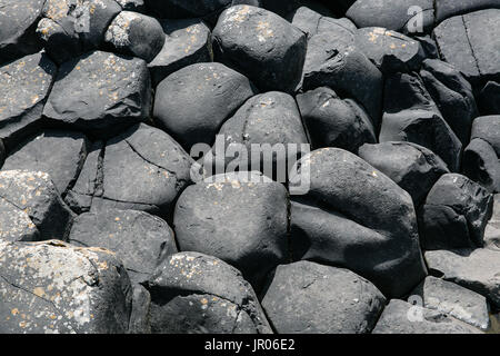 Bett von vulkanischen Felsen sechseckigen Basaltsäulen am Giant's Causeway Coast - das Weltnaturerbe in Bushmills Antrim Nordirland Stockfoto