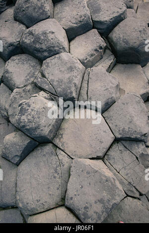 Bett von vulkanischen Felsen sechseckigen Basaltsäulen am Giant's Causeway Coast - das Weltnaturerbe in Bushmills Antrim Nordirland Stockfoto